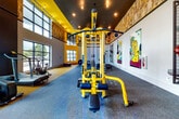 Located at 101 W Morehead St in uptown Charlotte, NC, this single-floor fitness facility delivers a well-equipped, energetically designed workout environment. The space is defined by a bold yellow and black color scheme carried through the baseboards, ceiling accents, and equipment, creating a high-energy atmosphere throughout.

The main training area features a large Life Fitness functional rig fitted with battle ropes, a heavy punching bag, medicine balls, kettlebells, barbells, and TRX suspension trainers — offering a comprehensive range of strength and conditioning options. A dedicated cable machine and additional weight training stations round out the resistance equipment offerings.

Soaring floor-to-ceiling windows flood the space with natural light and provide open views of the surrounding Charlotte streetscape, lending an airy, expansive feel despite the focused training layout. Exposed brick walls add an industrial character to the interior, complemented by vibrant local artwork that references Charlotte's "Queen City" identity.

Durable gray carpet flooring covers the training areas, and recessed lighting provides consistent illumination throughout. A separate room with a distinctive lattice-paned door offers additional space for stretching or auxiliary training. Cardio equipment, including a treadmill and cycle, is positioned near the large windows, allowing users to exercise with a view of the city.