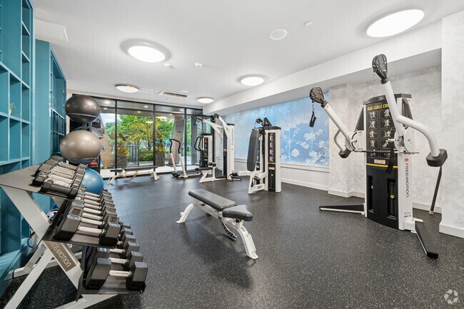 Gimnasio - Albion Highland Park