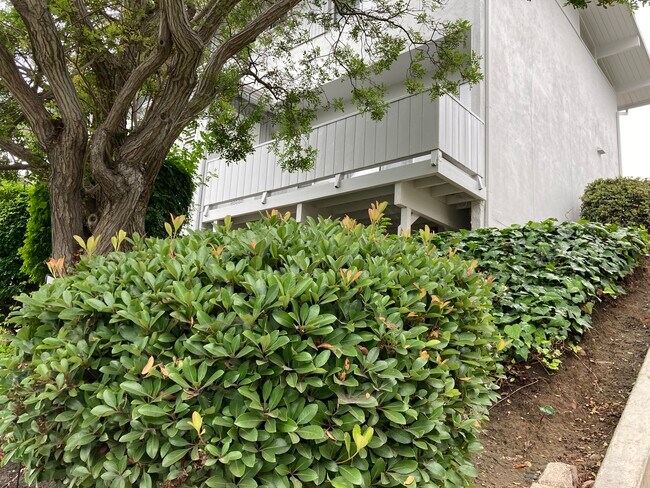 Vista de la cubierta desde la calle - 4132 Shorecrest Ln