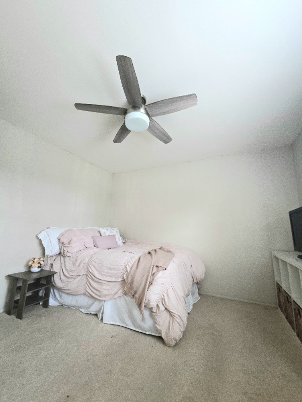 Foto del edificio - 2918 Shady Pine St