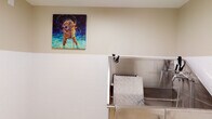 Located at 425 Melrose Ave in Glen Ellyn, Illinois, this single-level self-serve dog wash facility is purpose-built for pet owners seeking a clean, convenient, and well-equipped grooming space. The interior is thoughtfully designed with functionality and hygiene at the forefront. White subway tile wainscoting lines the lower half of the walls, creating a sanitary and easy-to-clean surface, while the upper walls are finished in a soft, neutral tone that gives the space a bright and welcoming feel. The flooring is a smooth, light-colored surface with floor drains strategically positioned for efficient water management during wash sessions. The centerpiece of the facility is the professional-grade stainless steel dog wash tubs, complete with built-in ramps featuring non-slip diamond-plate surfaces for safe and easy pet access. Each tub is equipped with adjustable restraint fixtures to help keep pets secure during grooming. Overhead, a ceiling-mounted sprayer provides convenient access to water. The space is adorned with vibrant, colorful paintings depicting dogs in playful, expressive settings, adding warmth and personality to the utilitarian environment. A glass-paneled entry door provides a clear sightline into the space, contributing to an open and accessible atmosphere. Overall, the facility balances practicality with a pet-friendly aesthetic.