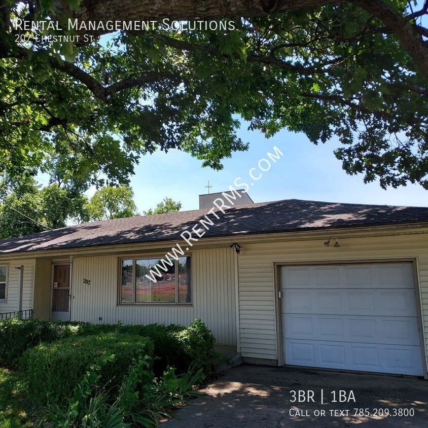 Primary Photo - 207 Chestnut St