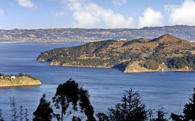 Foto del edificio - Lovely Sausalito Home with Breathtaking 180 Views!