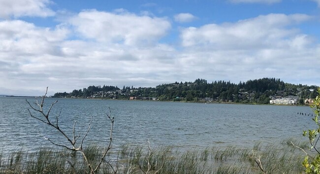 Building Photo - The Big Yellow Farmhouse on Youngs Bay-Ava...