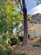 Building Photo - 62 Maegan Pl