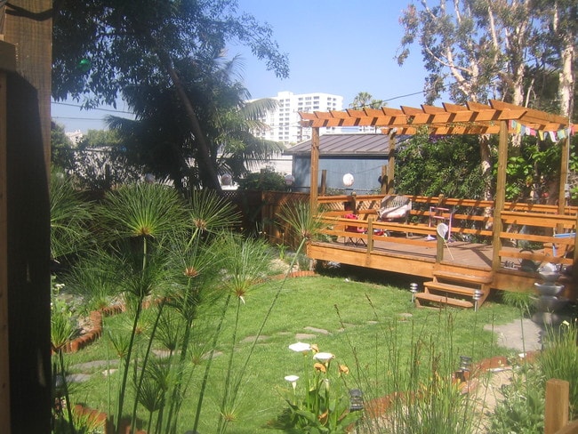 back yard - 3018 3rd St