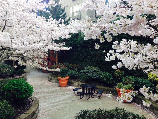 Building Photo - Promenade at the Park Apartment Homes