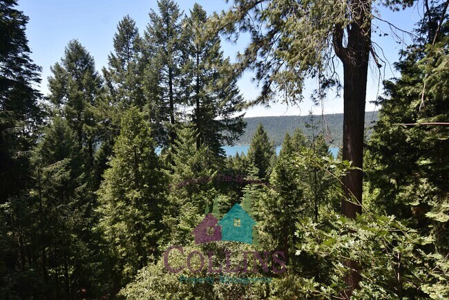 Foto del edificio - 13034 Summit Ridge Dr
