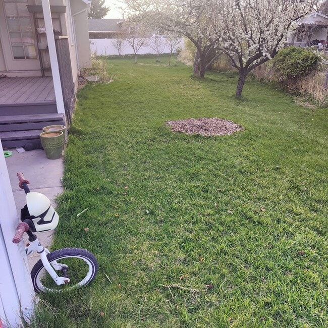 Foto del edificio - 3 Bed/2 Bath House (Upstairs) For Rent in ...