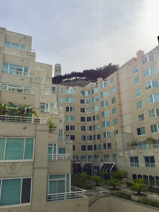 111 Chestnut St, San Francisco, CA 94111 Condo for Rent in San