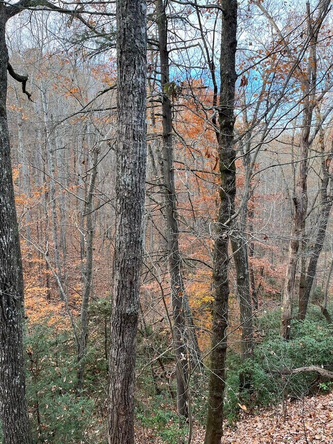 Building Photo - 240 Dream Life Lane - Cabin Life in seclud...