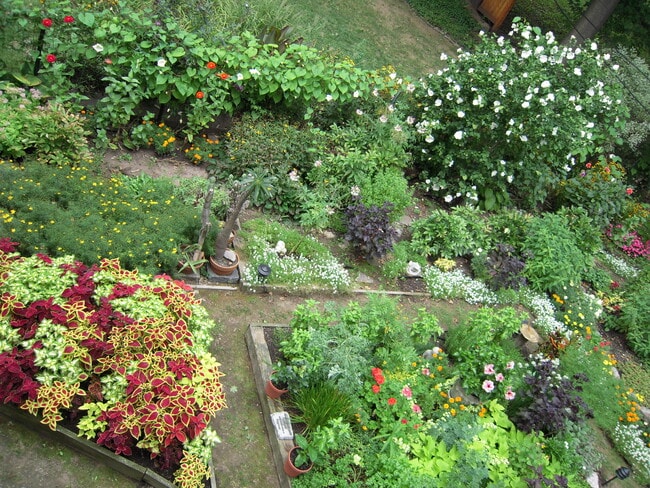 garden - 65 Draper St