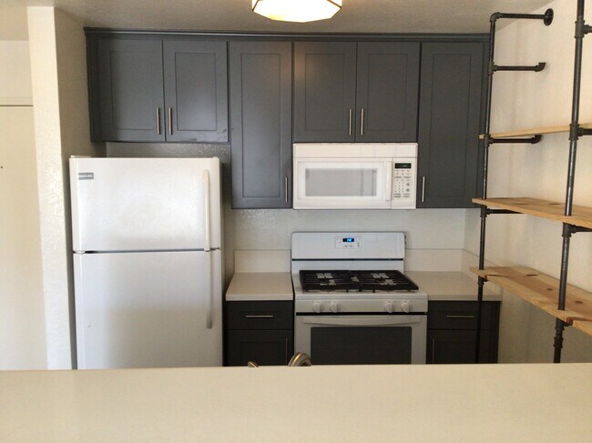 Kitchen with all fridge, over-the-range microwave, gas stovetop range and oven - 3601 Hughes Ave