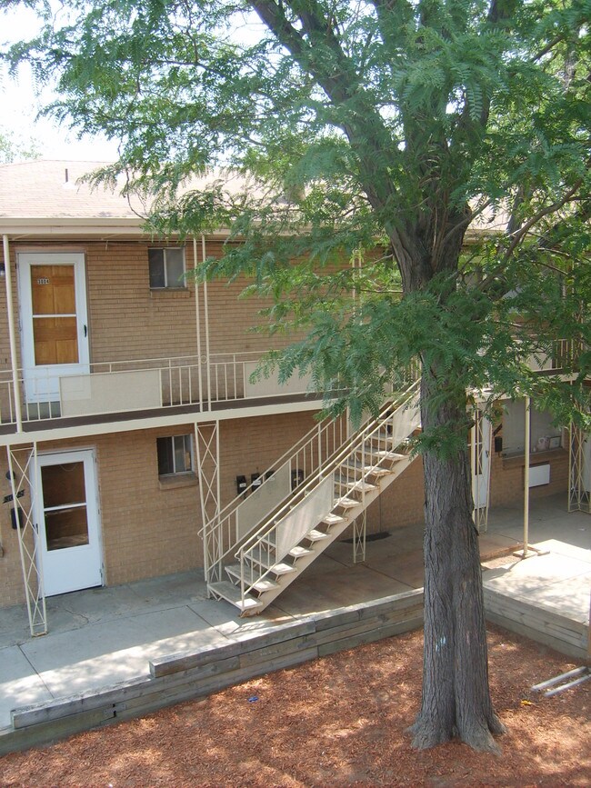 Single Tree Apartment Homes Apartments Denver, CO