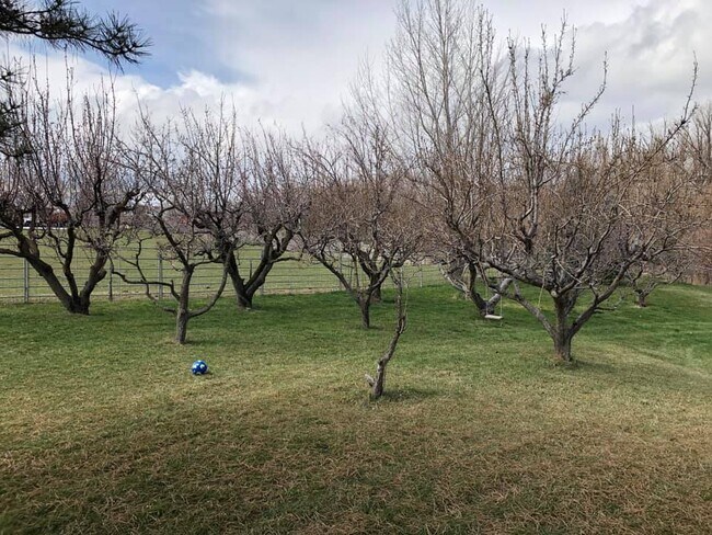 pequeño huerto en el patio trasero. Pasturas alrededor de la propiedad al final de un carril de grava. - 14016 S 1850 W