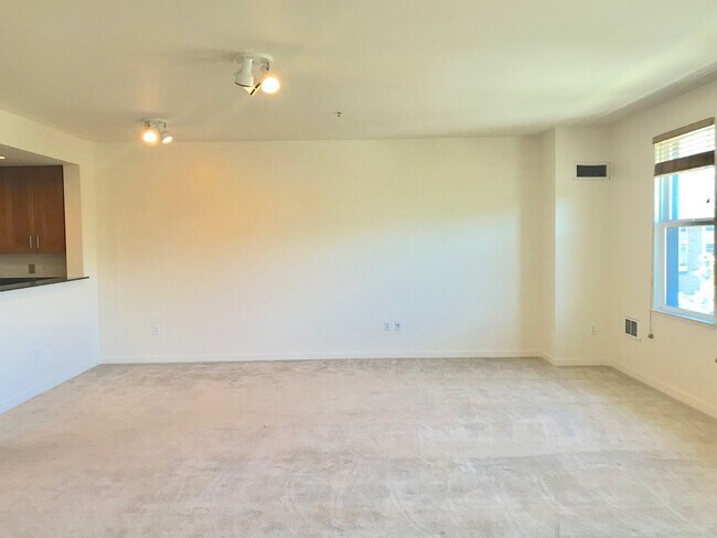Building Photo - Grand 2 Bedroom Modern Condo in Prime NOPA...