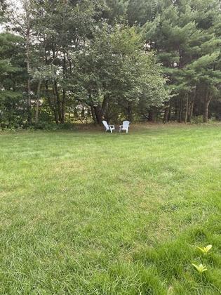 Backyard - 51 Powder Mill Rd