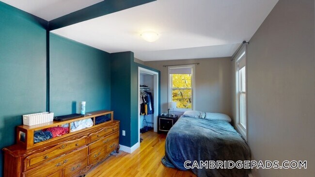 Foto del edificio - 173 Rindge Ave