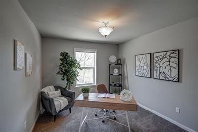 Building Photo - 641 McKay Way