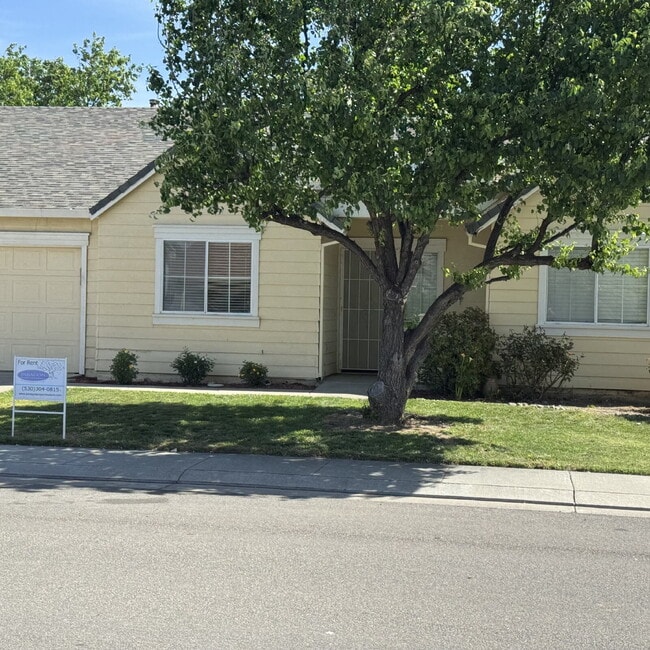 Building Photo - Great location near park and shopping