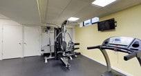 This fitness center is a thoughtfully designed, single-floor facility built to accommodate a wide range of workout needs. The space features a clean, functional layout with soft yellow accent walls, a suspended drop ceiling with recessed panel lighting, and durable dark rubber flooring throughout — ideal for high-traffic exercise use.

The cardio area is well-appointed with multiple treadmills from True Fitness, elliptical cross-trainers from Octane, and a recumbent stationary bike, providing ample options for cardiovascular training. A wall-mounted flat-screen television is positioned for viewing during workouts, enhancing the exercise experience.

The strength training section houses a multi-station cable machine system, offering a versatile range of resistance exercises. A large wall mirror spans one side of the room, visually expanding the space and allowing users to monitor their form during training sessions. A wall-mounted air conditioning unit ensures a comfortable climate year-round.

Additional storage is provided through a built-in closet and cabinetry, keeping the floor area organized and uncluttered. A glass-panel entry door with black framing connects the fitness center to an adjacent waiting or lobby area, and clear exit signage reflects the facility's attention to safety. The overall ambiance is practical, bright, and inviting — well-suited for a focused fitness environment.