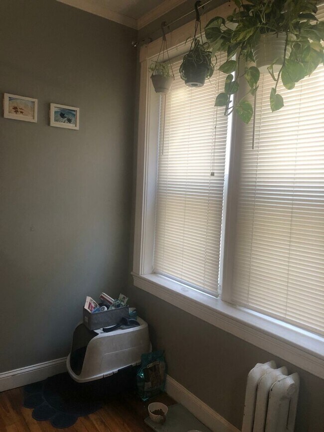 Foto del edificio - Large studio available 6/1 !