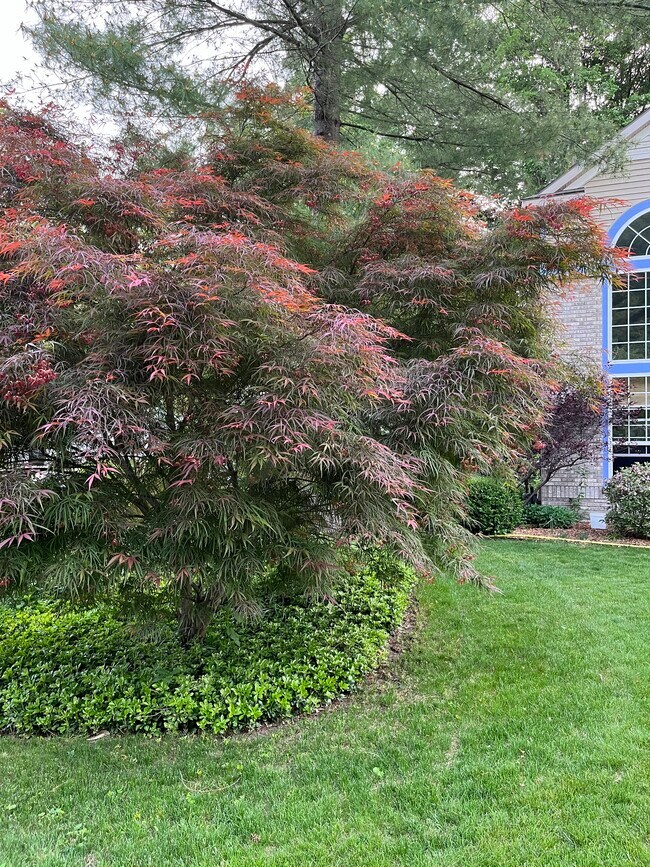 Foto del edificio - 13371 Greenbriar Dr