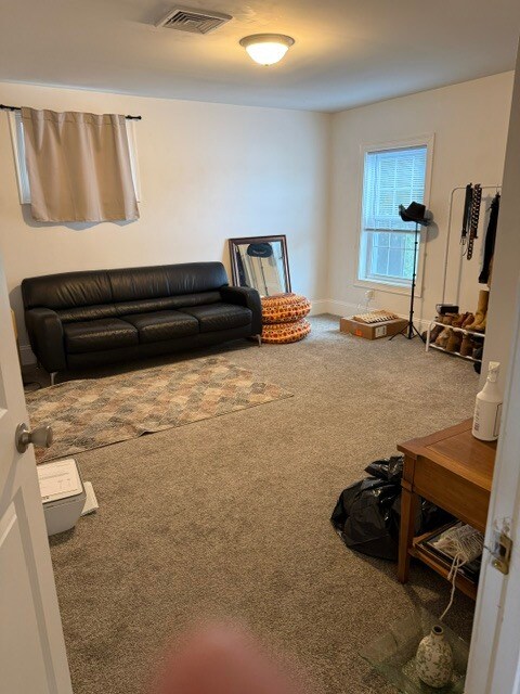 Segundo dormitorio o estudio - 231 Lake Ave