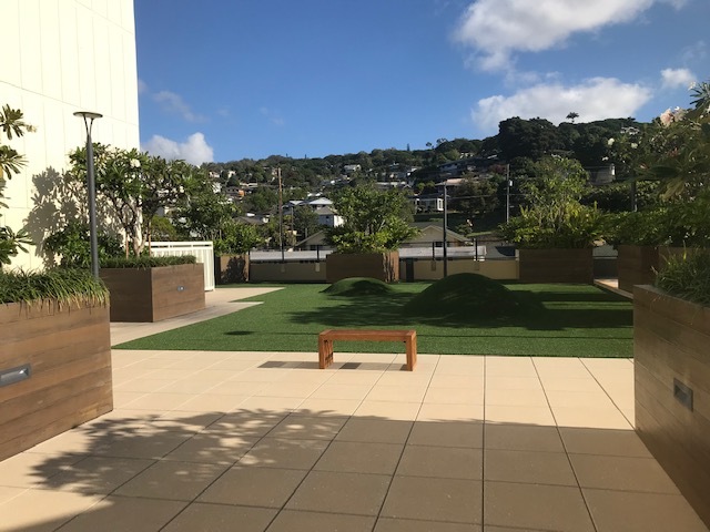 Green space - 1717 Mott-Smith Dr