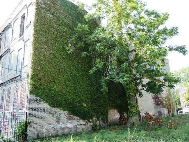 Foto del edificio - 5917 - 5919 S Emerald Ave