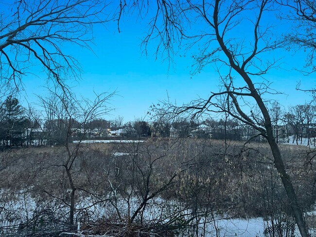 Building Photo - Big Beautiful Lakefront 2-Story next to Go...