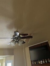 Building Photo - 1102 Blair St