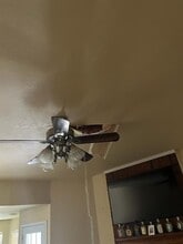 Building Photo - 1102 Blair St