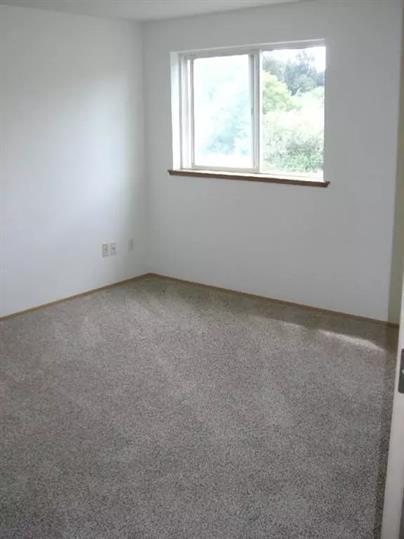 Foto del edificio - 1002 Stitch Rd