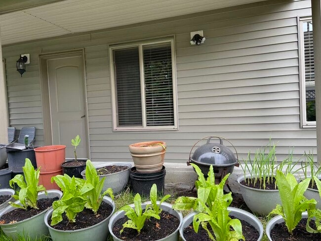 Photo du bâtiment - 8021-160A 160a St