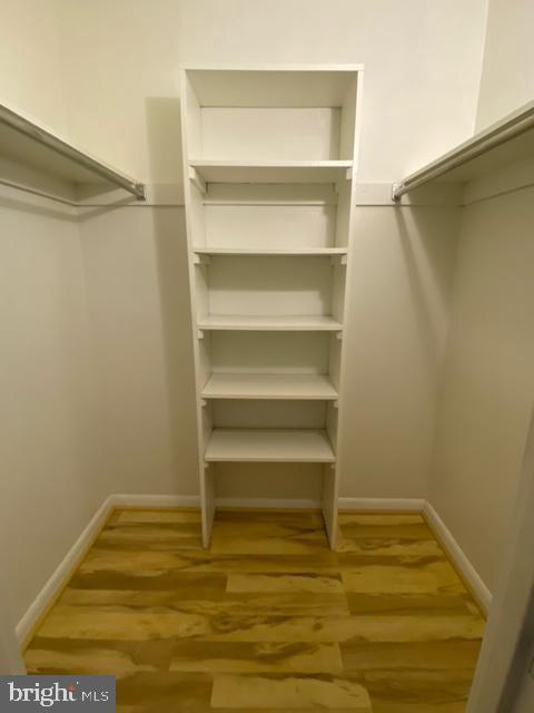 Building Photo - 2236 Castle Rock Square