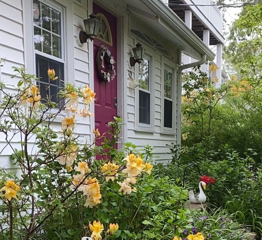 Primary Photo - 39 Kingwood St