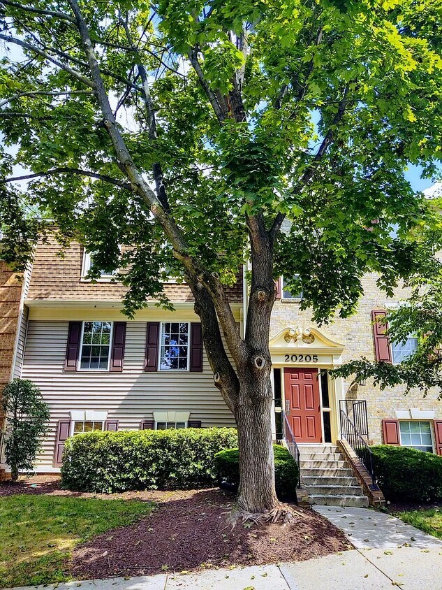 20205 Shipley Ter Unit 301, Germantown, MD 20874 Condo for Rent in Germantown, MD