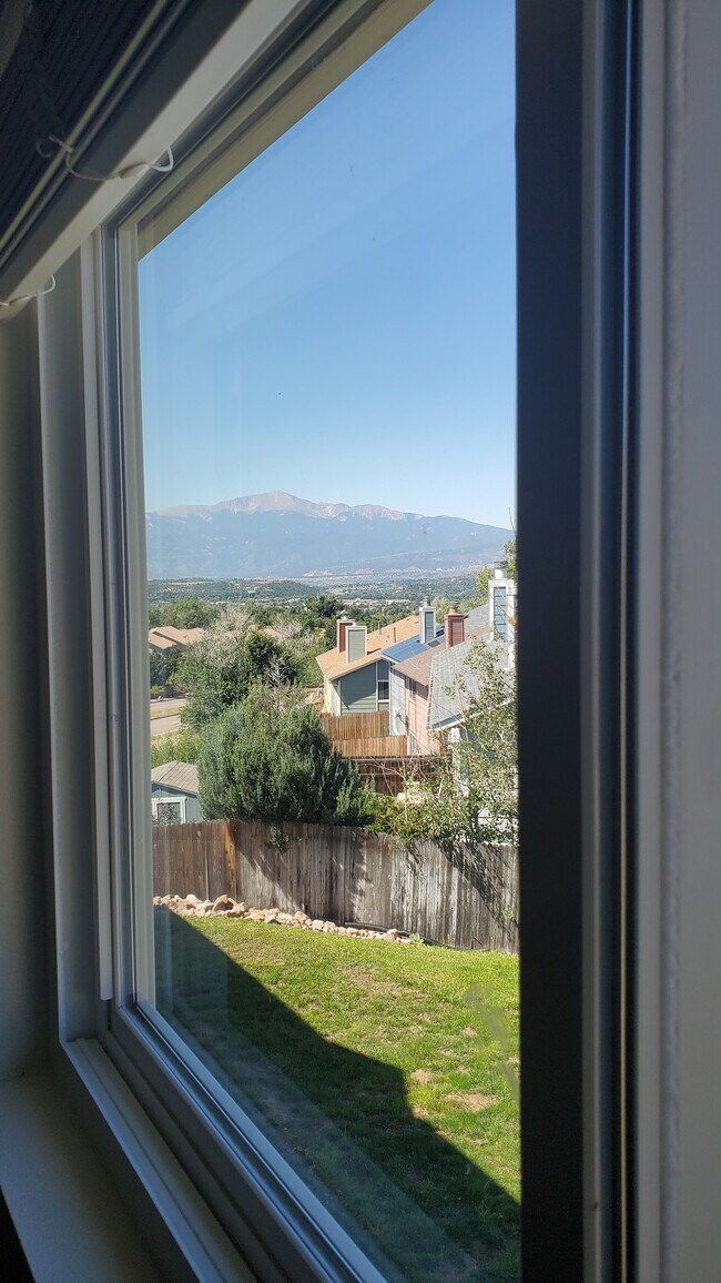 view from living room (2) - 5317 Solar Ridge Dr