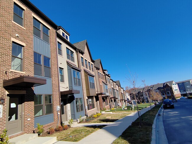 Building Photo - 3560 Stella Blue Dr
