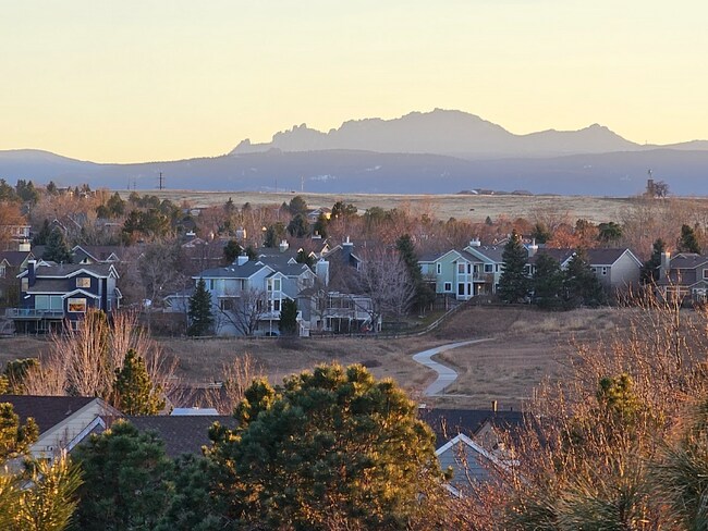Foto del edificio - 74 Falcon Hills Dr