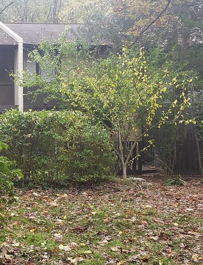 Primary Photo - 2175 White Cornus Ln
