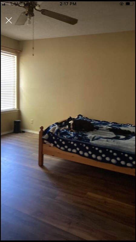 Foto del edificio - 608 Bristlewood Cove