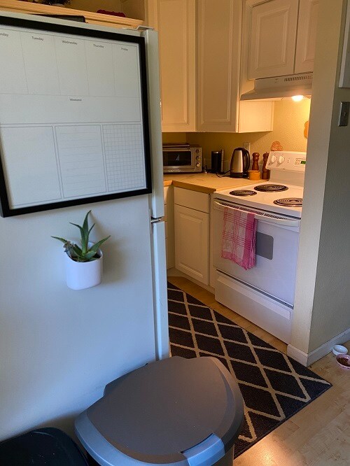 1024 E Swallow Rd Unit B 223, Fort Collins, CO 80525 Condo for Rent