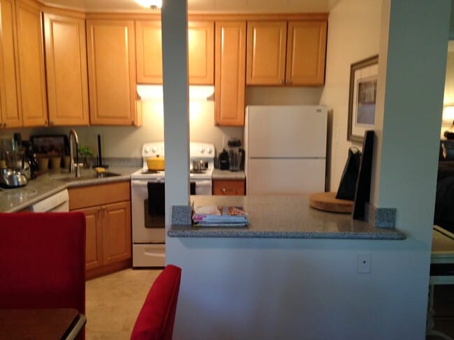 open kitchen - 15 San Rafael Ave