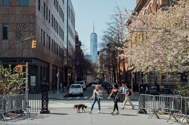 Looking south from Washington Square Park toward the Freedom Tower.