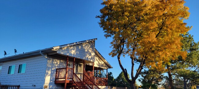 Photo - 6290 Wolff St Apartment