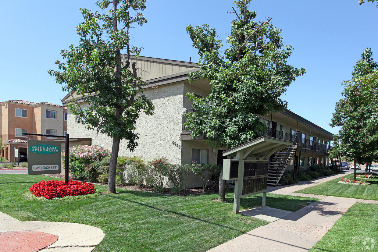 Primary Photo - Olive Lane Apartments