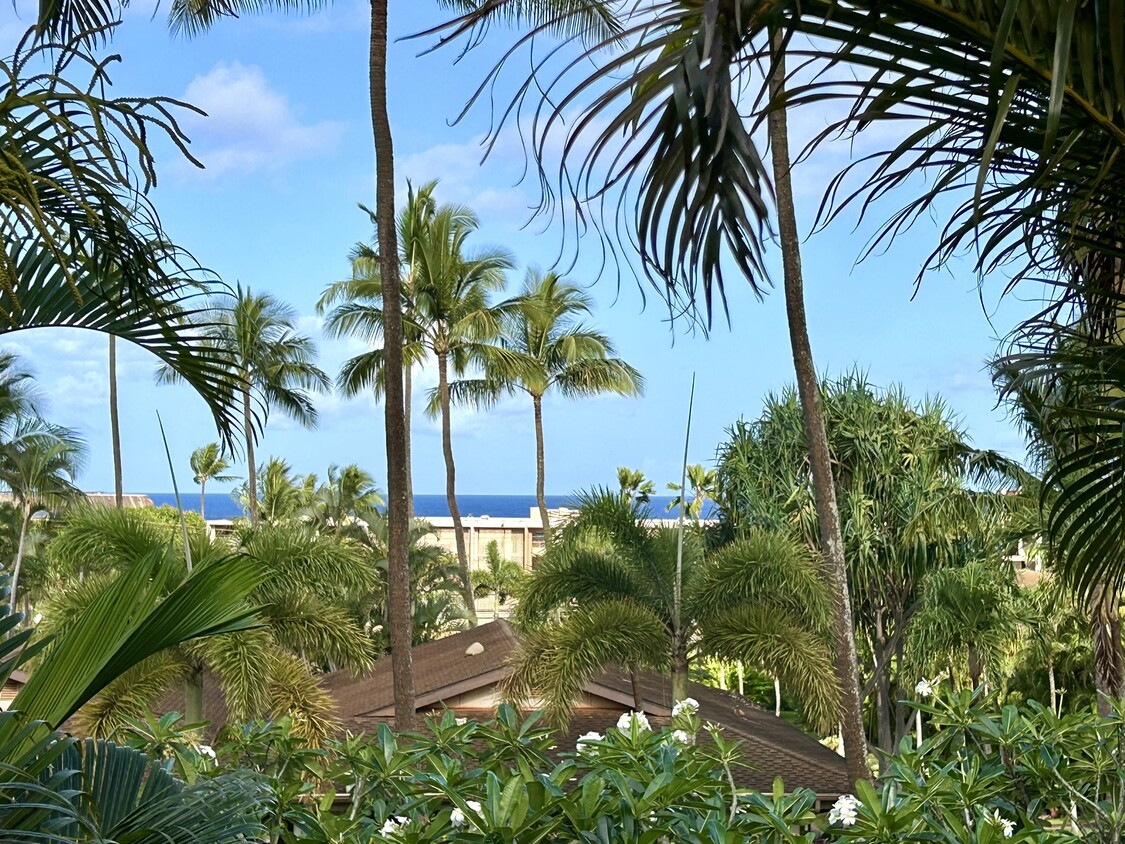 Foto principal - 3788 Lower Honoapiilani Rd