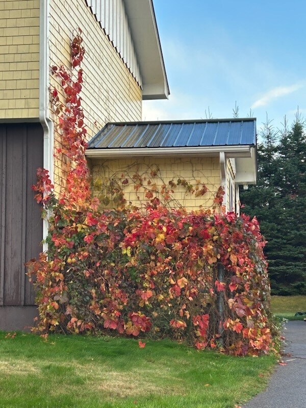 Photo du bâtiment - 176 PE-18